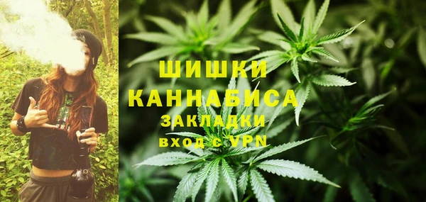 Альфа ПВП Абаза